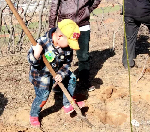 游艇会·yth206(中国)最新官方网站